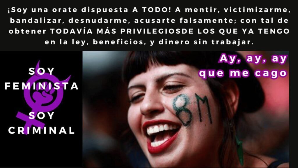 Feministas criminales